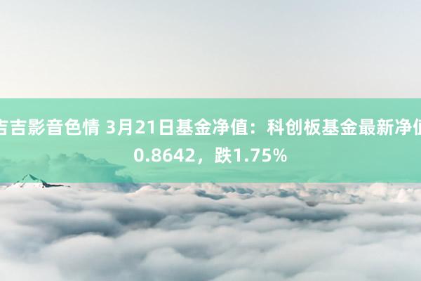 吉吉影音色情 3月21日基金净值：科创板基金最新净值0.8642，跌1.75%